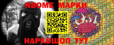 гидропоника Пенза