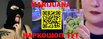 гидропоника Пенза