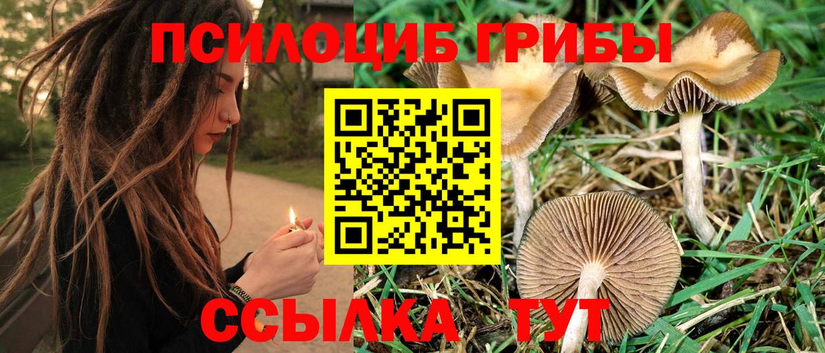 Псилоцибиновые грибы мухоморы  Вход с VPN  Строитель 